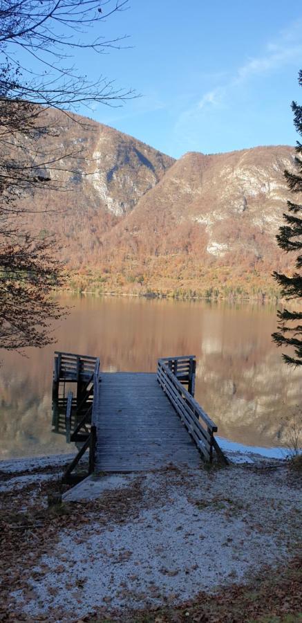 Apartment Sonce Bohinj Exterior foto
